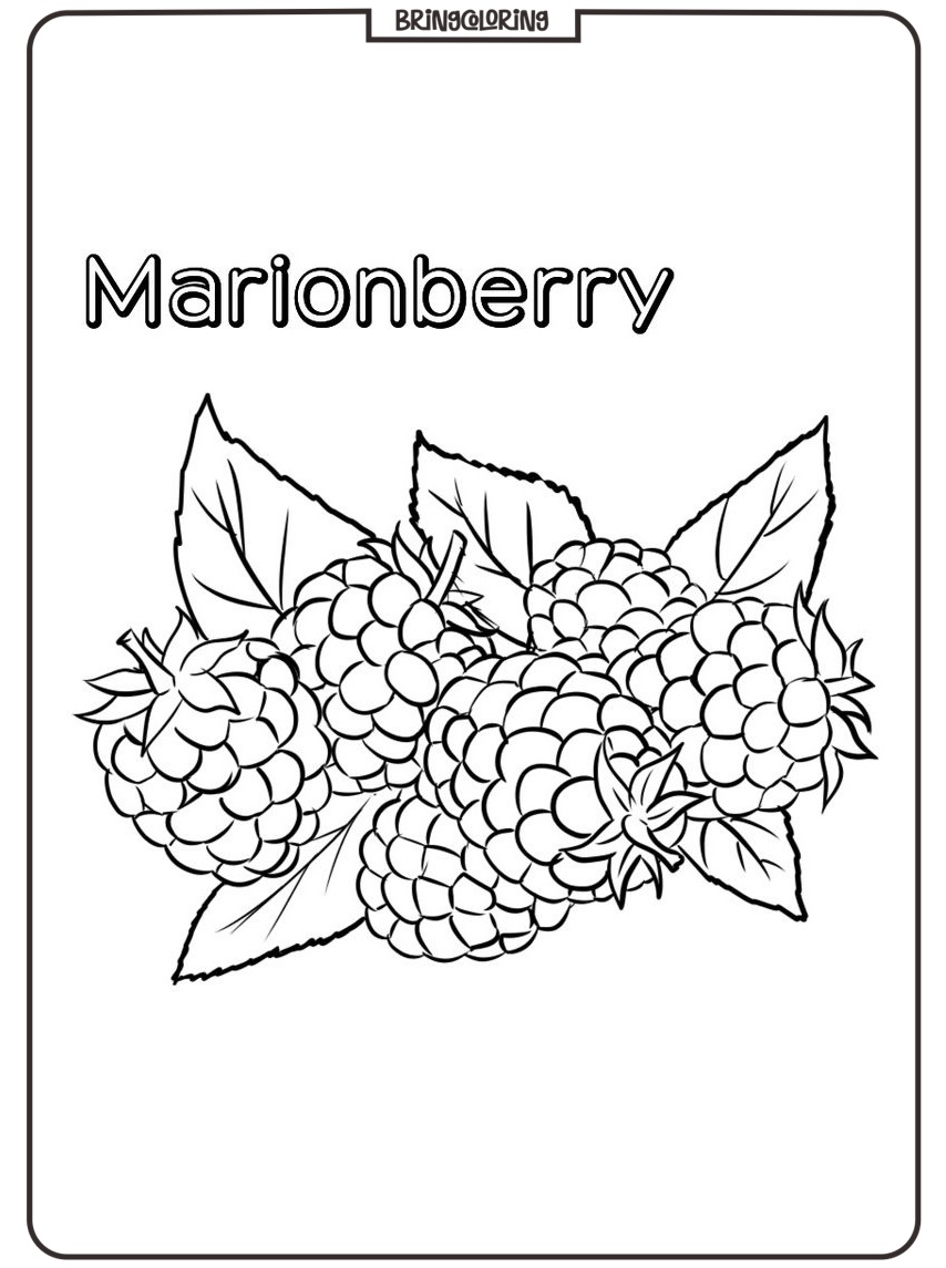 Printable marionberry coloring pages