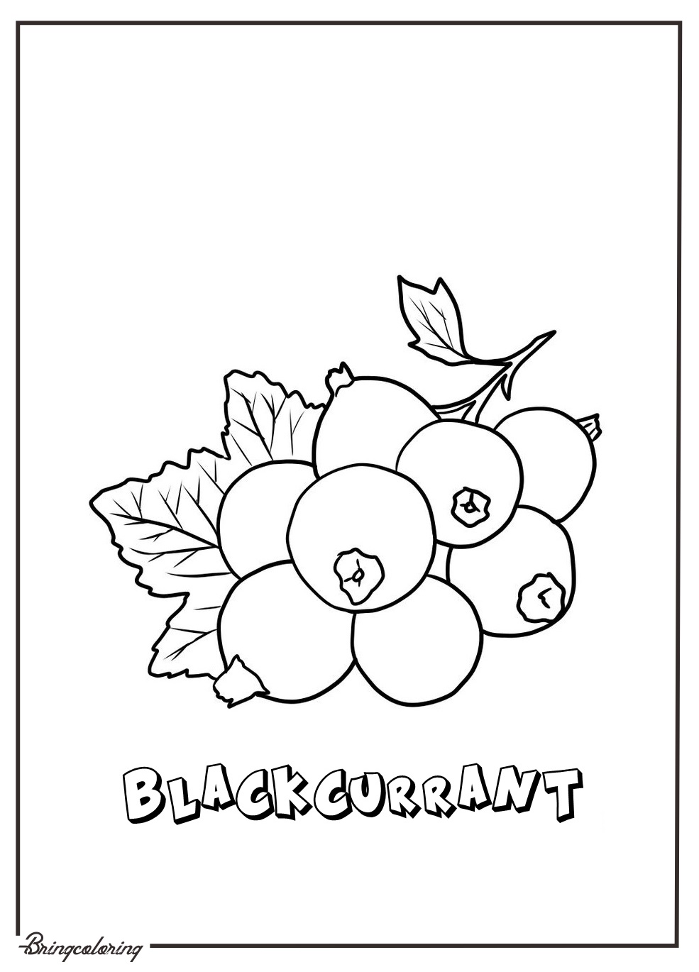 Delicious and Nutritious Little Berries, Blackcurrant Coloring Pages 2 blackcurrant coloring page for kids