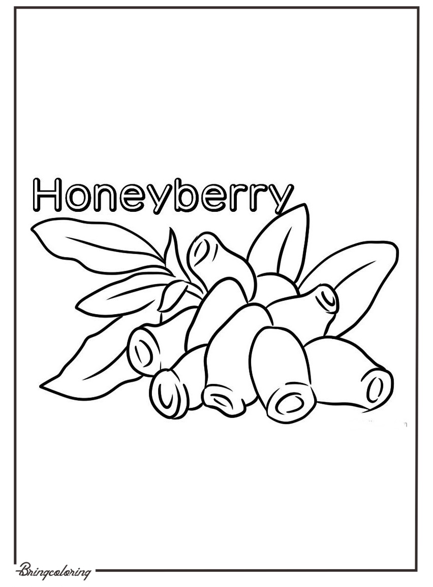 fruit honeyberry coloring pages