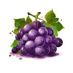 grape coloring image