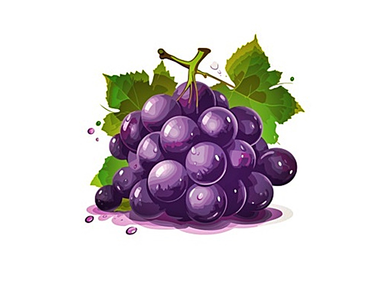 grape coloring image