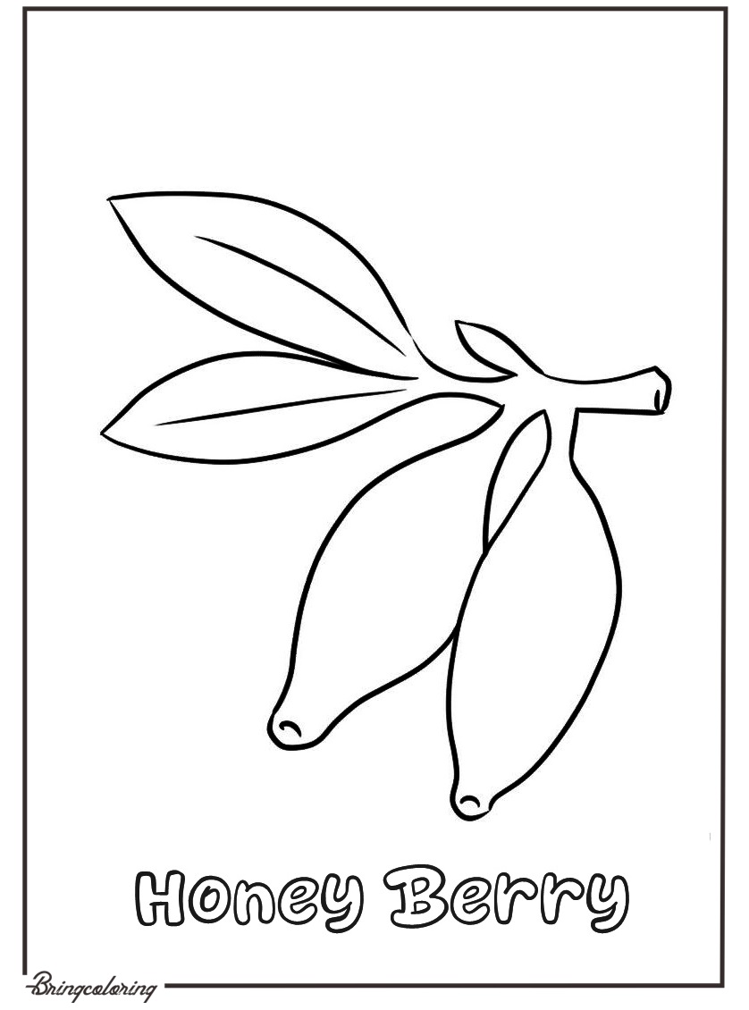 honeyberry fruit coloring page