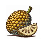 image is jackfruit coloring