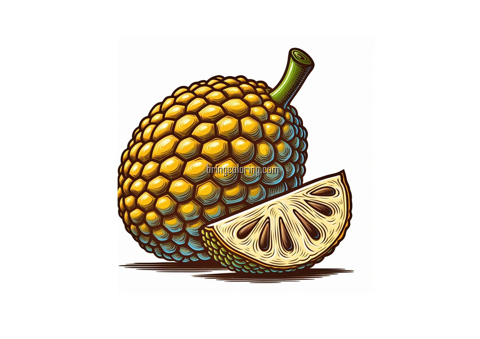 image is jackfruit coloring