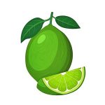 image lime fruit coloring