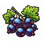 image of blackcurrant coloring