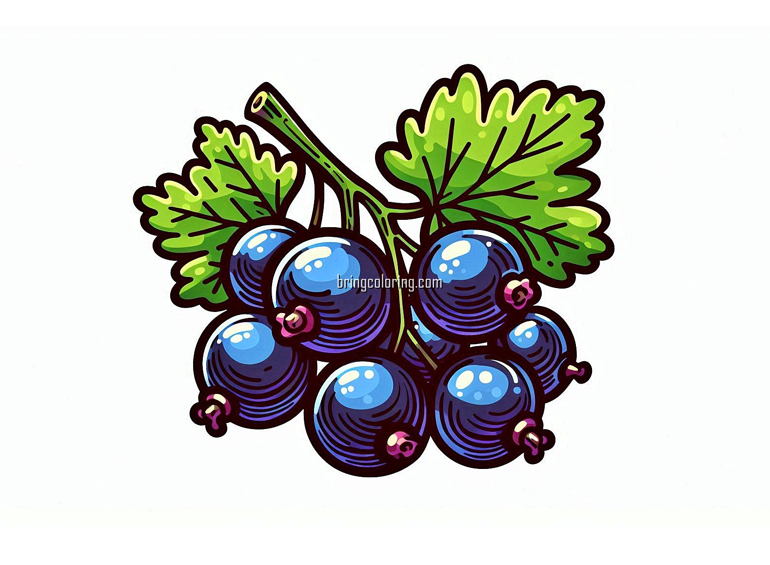 Delicious and Nutritious Little Berries, Blackcurrant Coloring Pages 4 image of blackcurrant coloring