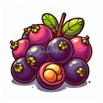 image of jaboticaba fruit coloring