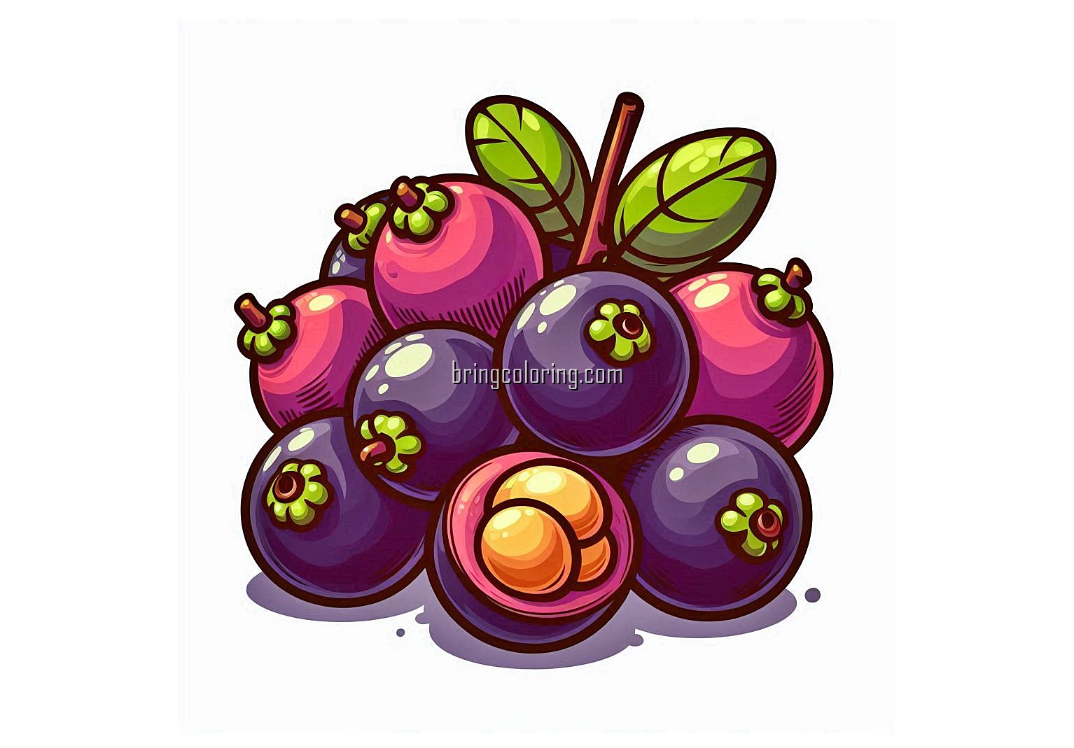 image of jaboticaba fruit coloring