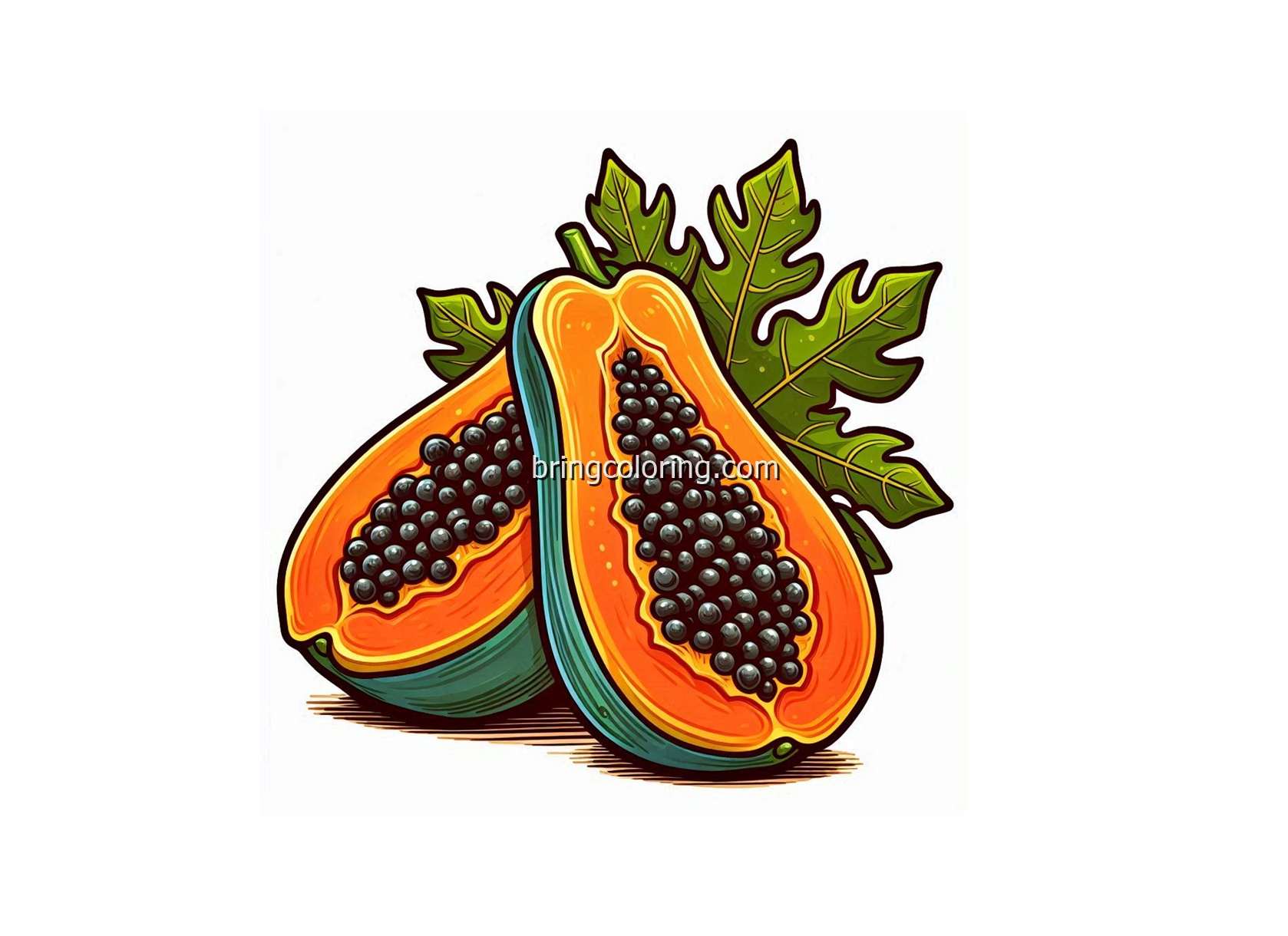 image of papaya coloring