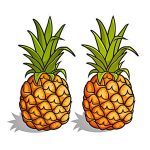 image pineapple coloring