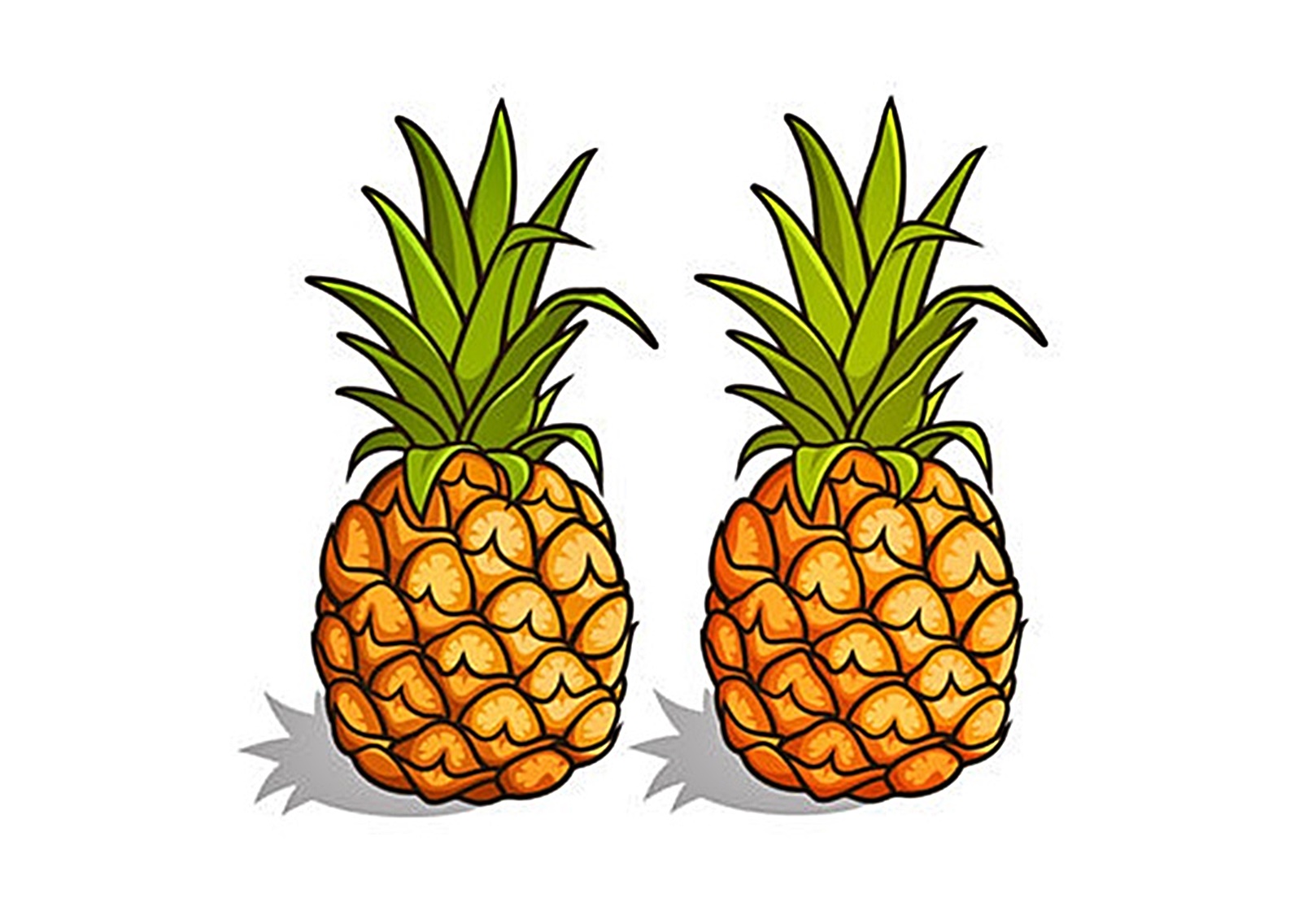 image pineapple coloring