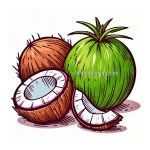 imgae of coconut coloring