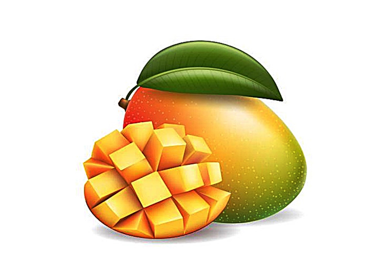 mango fruit image coloring