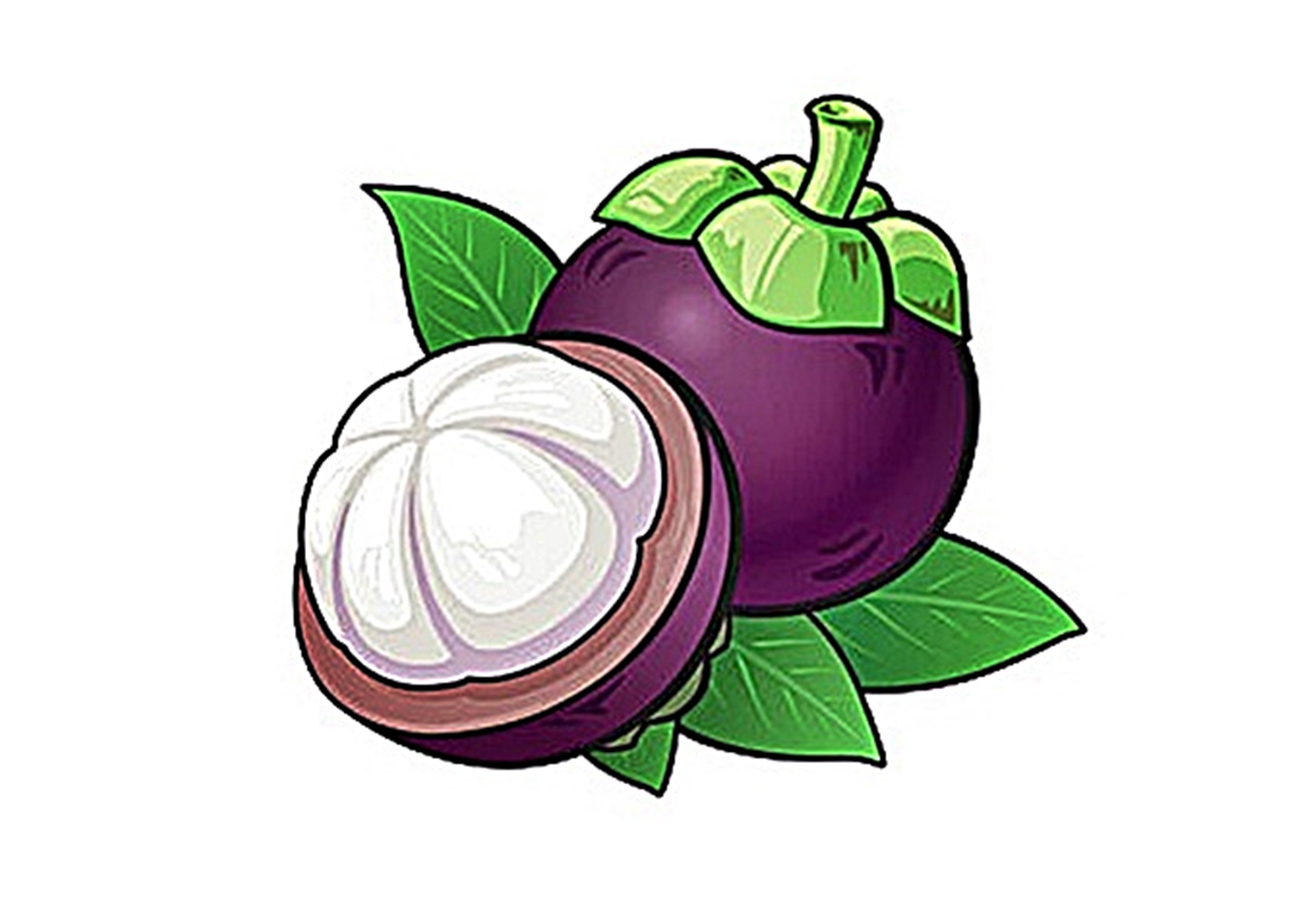 mangosteen fruit images coloring