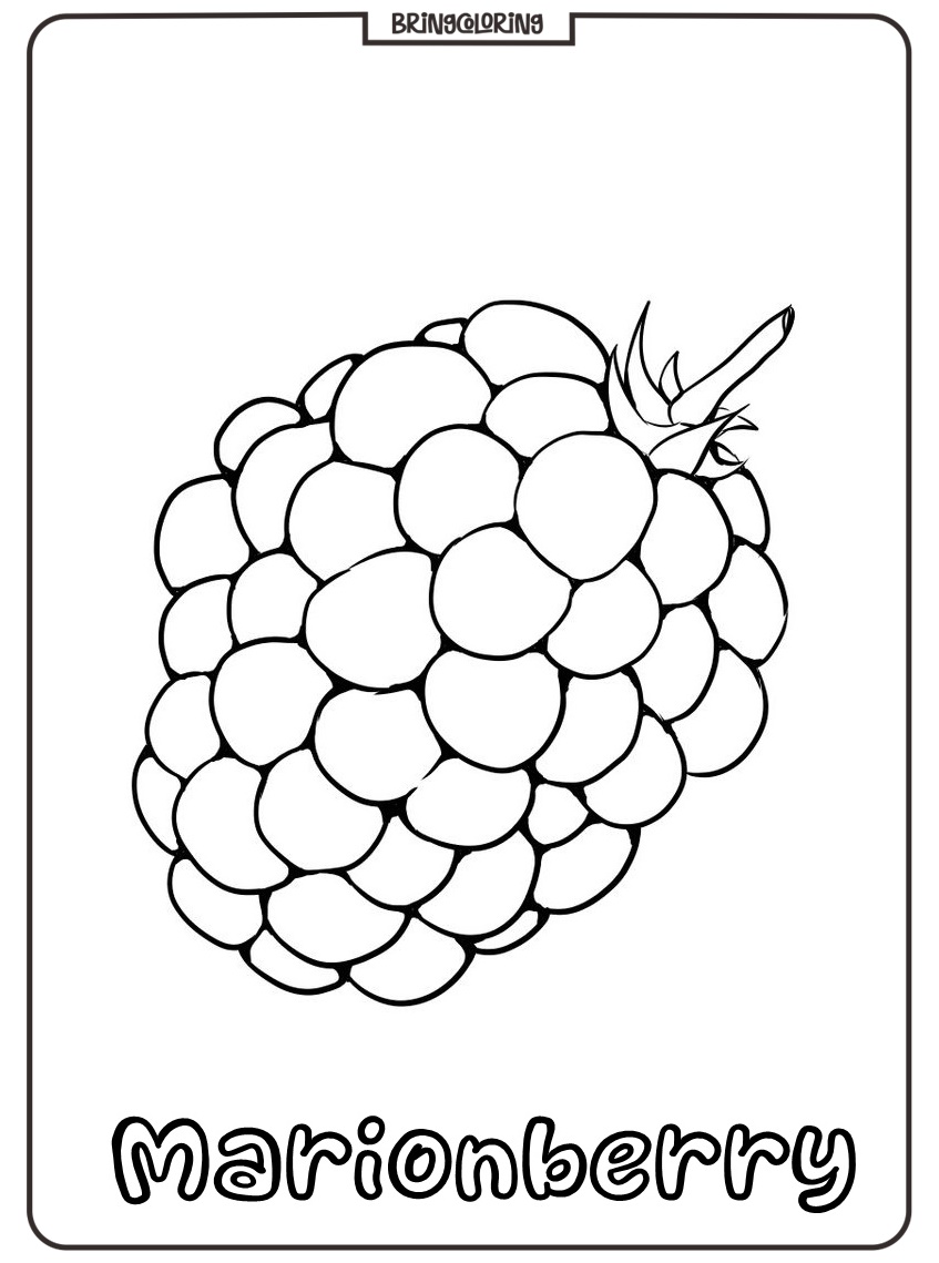marionberries coloring pict