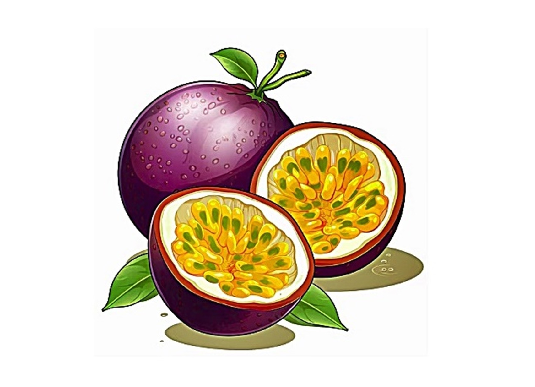 passion fruit image coloring