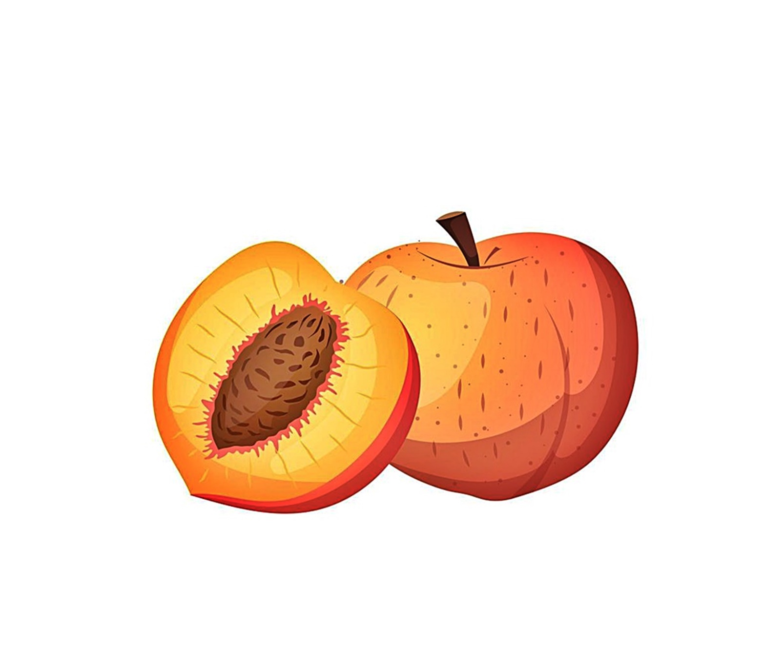 peach image coloring