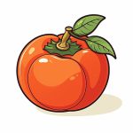 persimmon coloring image