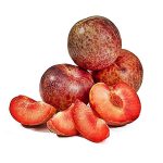 plumcot fruit coloring page images