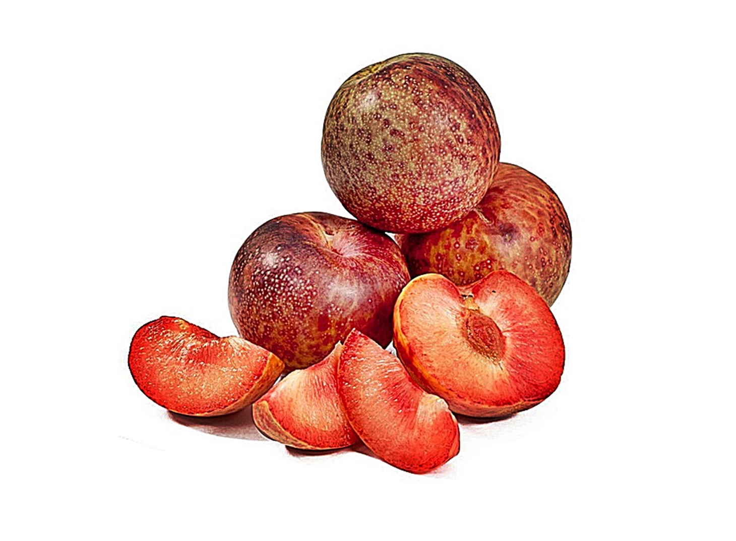 plumcot fruit coloring page images