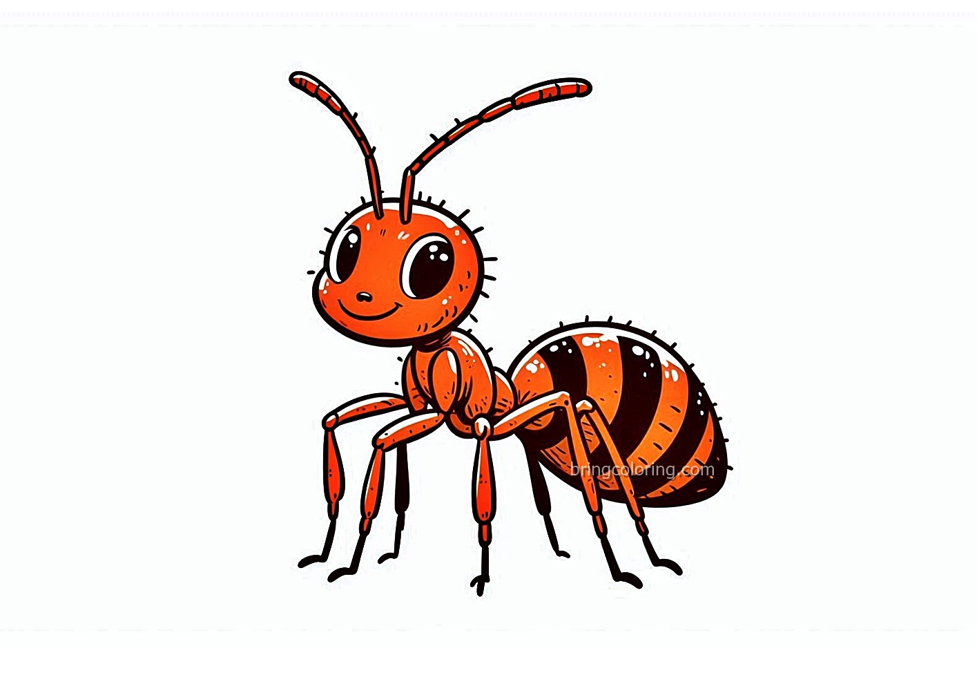 Ant Animal of Coloring Image
