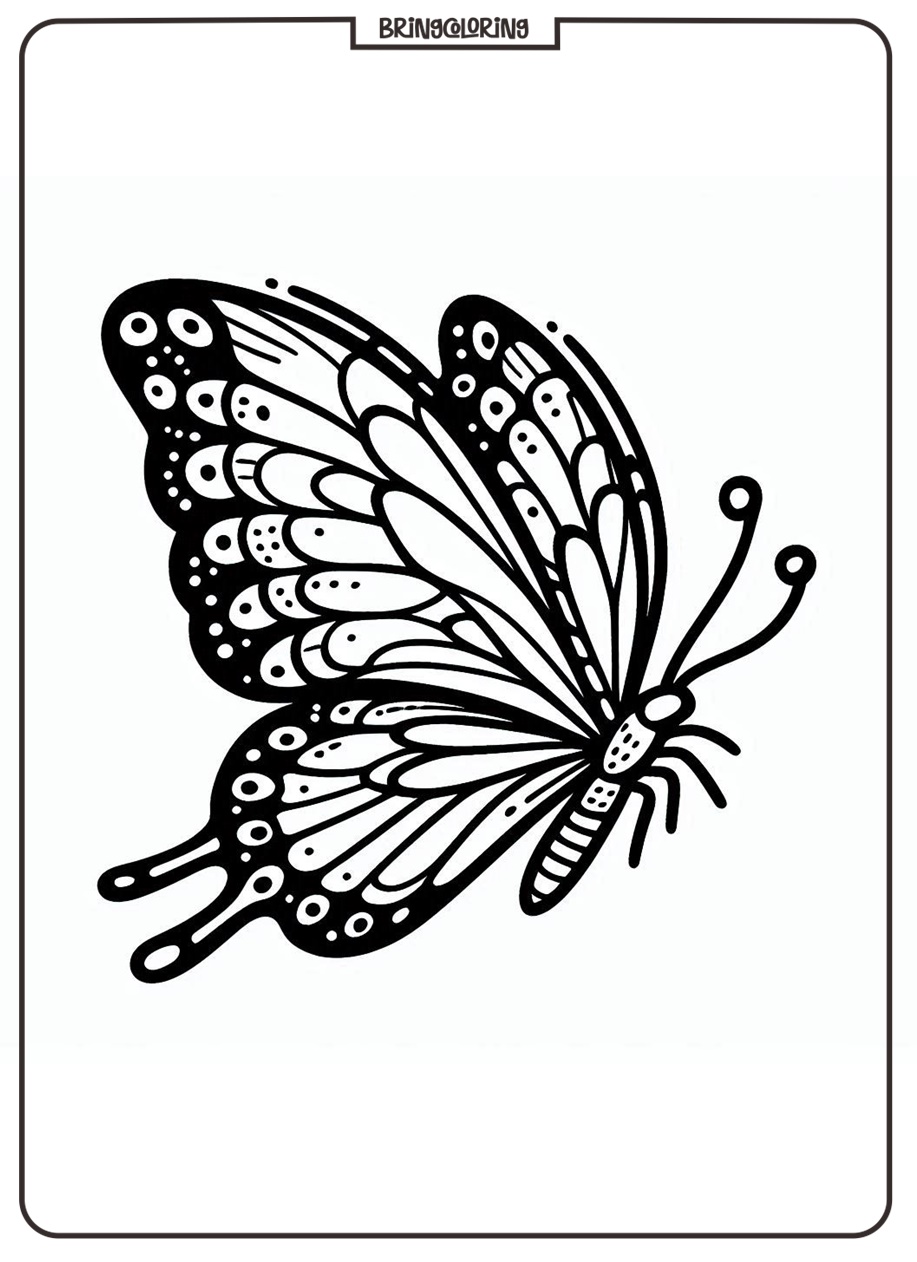 The Enchanting Butterfly Coloring Pages 3 Butterfly Coloring Pages for Kids