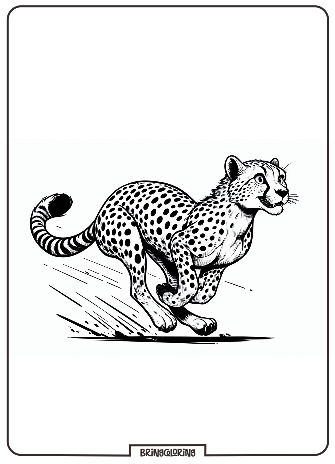 Cheetah Coloring Pages for Kids 2 Cheetah Coloring Pages for Kid