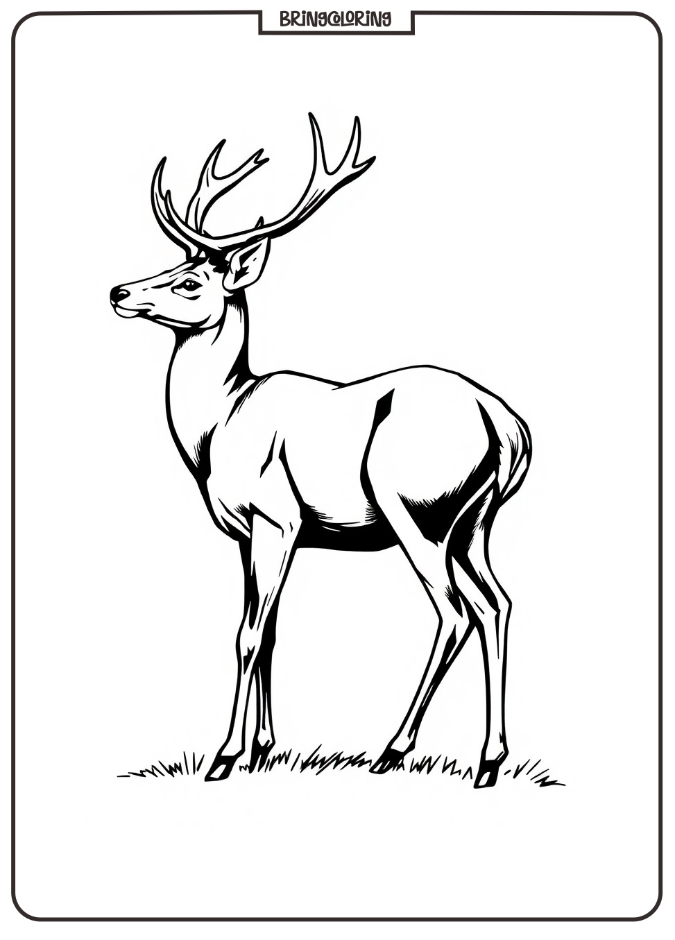 Deer Coloring Pages for Kids 4 Deer Coloring Pages for Kids