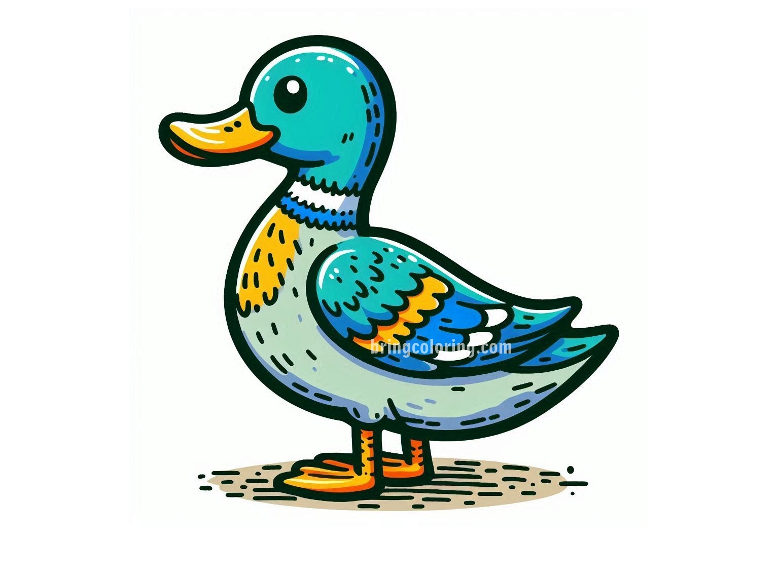 Duck Image Coloring