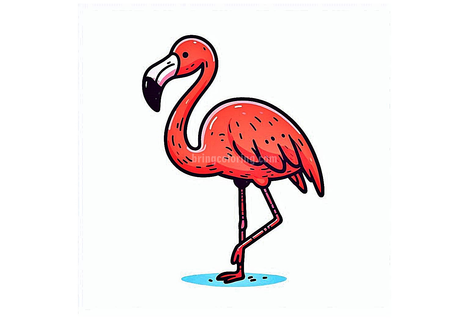 Flamingo Image Coloring