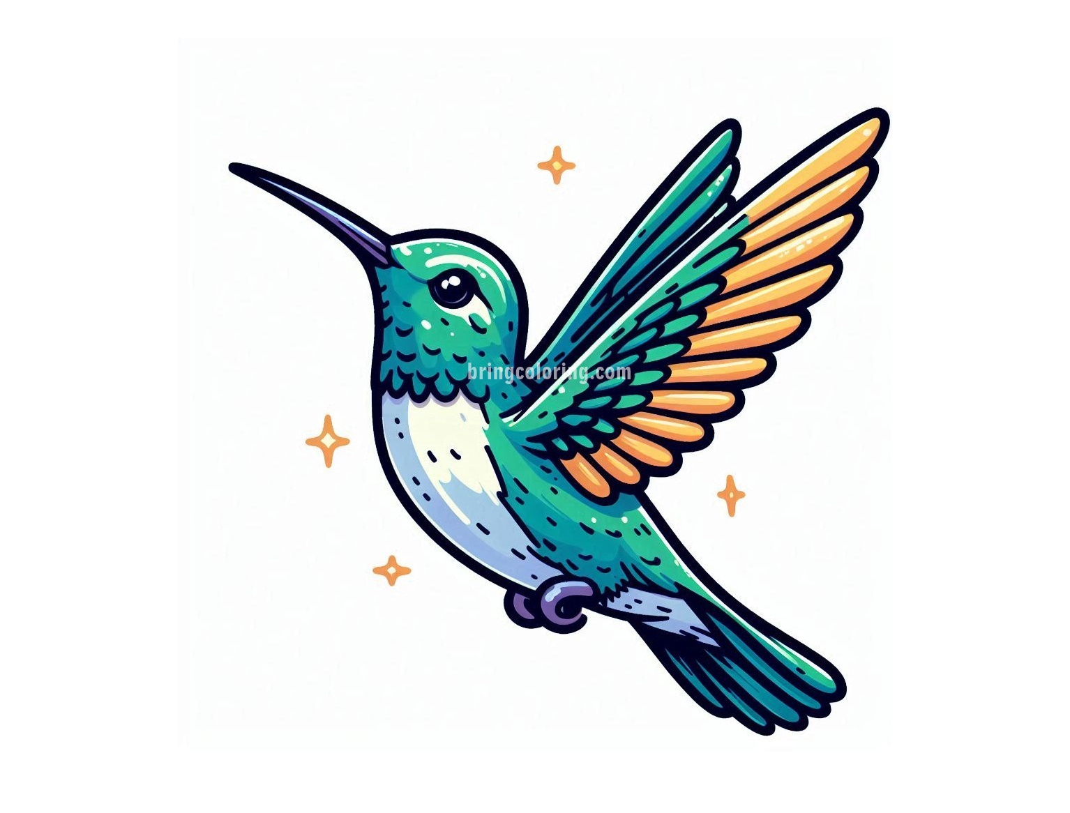 Hummingbird Image Coloring
