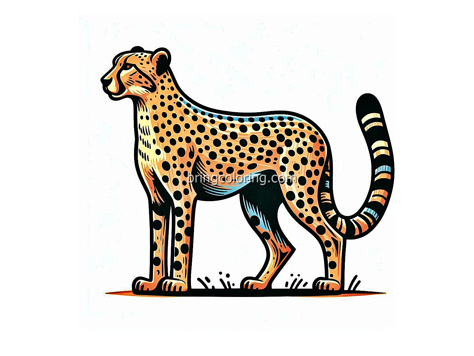 Cheetah Coloring Pages for Kids 4 Image Animal Cheetah Coloring