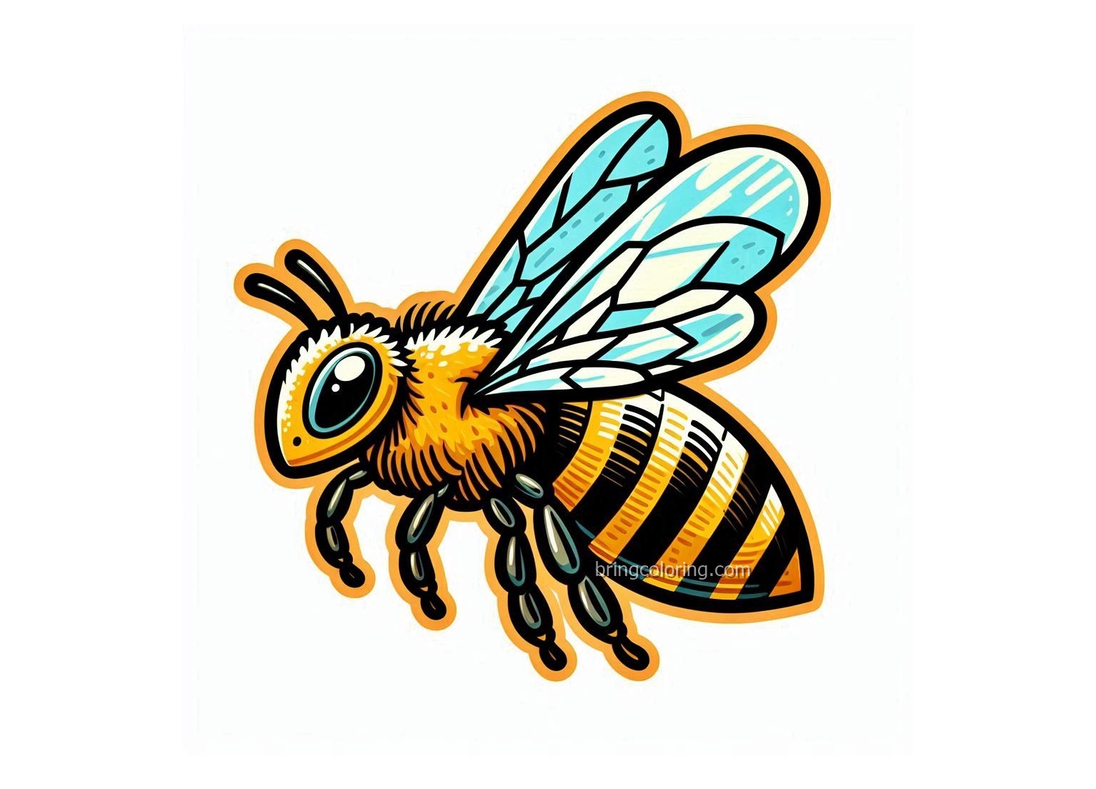 Image of Bee Animal Coloring
