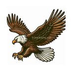 Image of Eagle Coloring