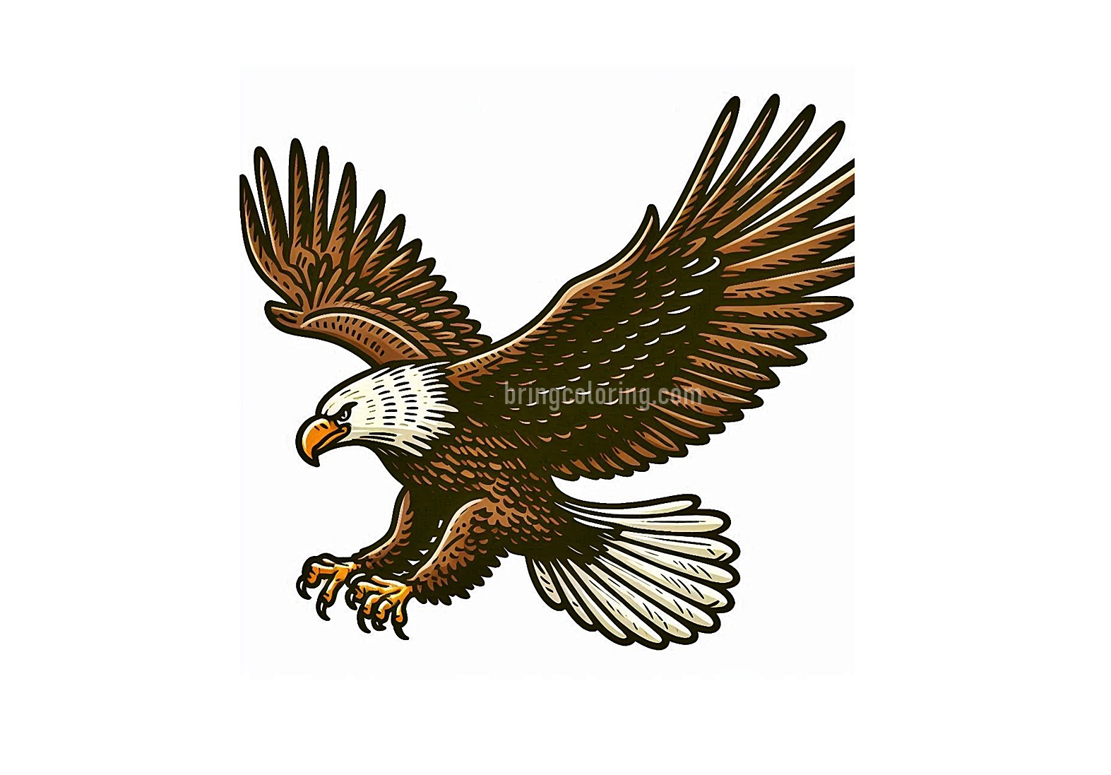 Image of Eagle Coloring