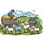 Image of Goat Farming Coloring