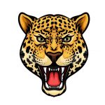 cheetah face coloring image