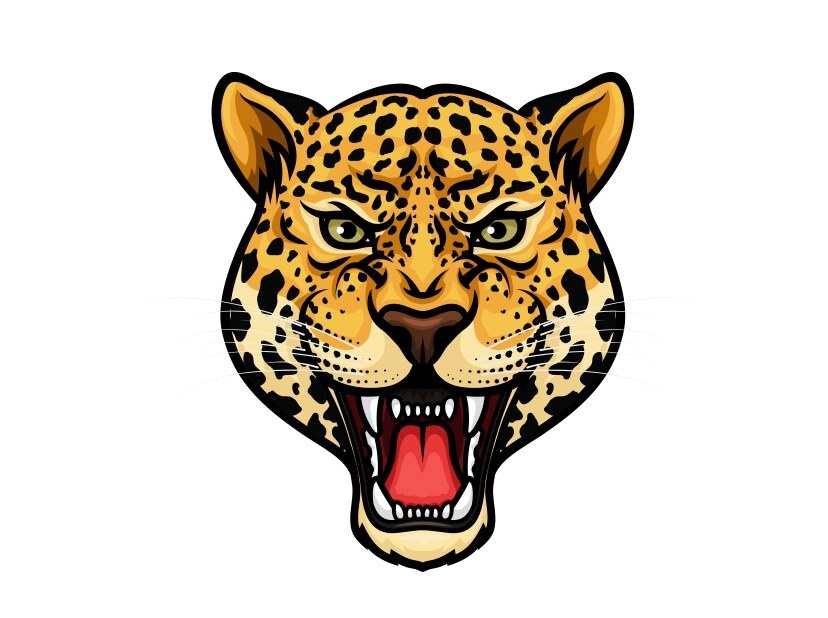 Cheetah Face Coloring Pages for Kids 4 cheetah face coloring image
