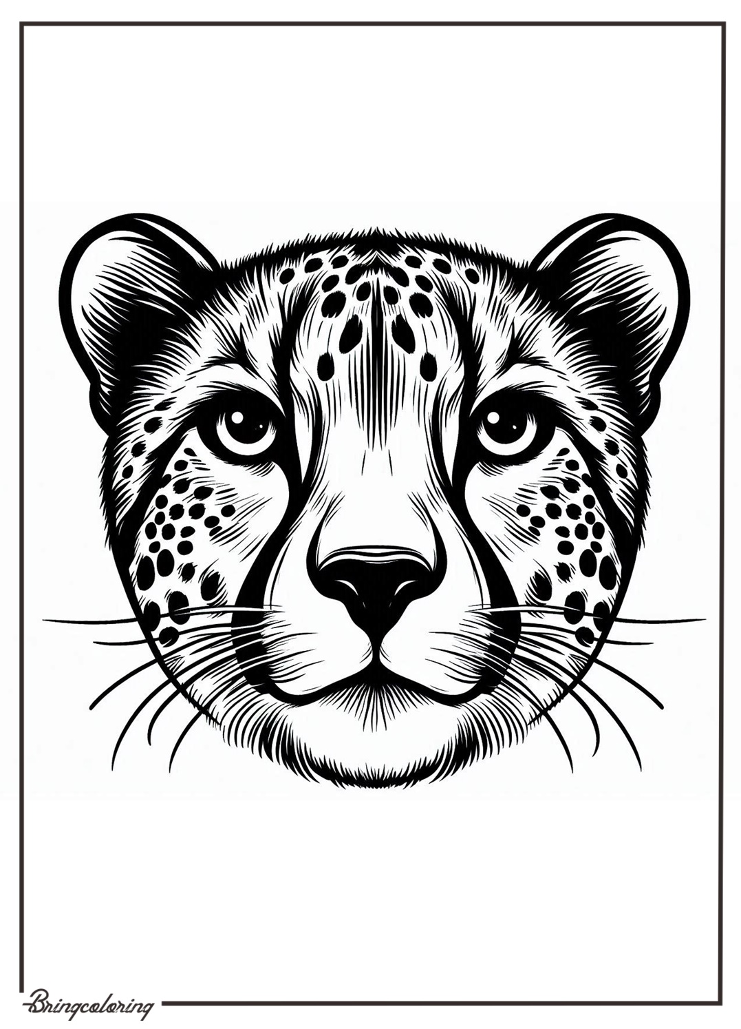 Cheetah Face Coloring Pages for Kids 1 cheetah face coloring page for kids