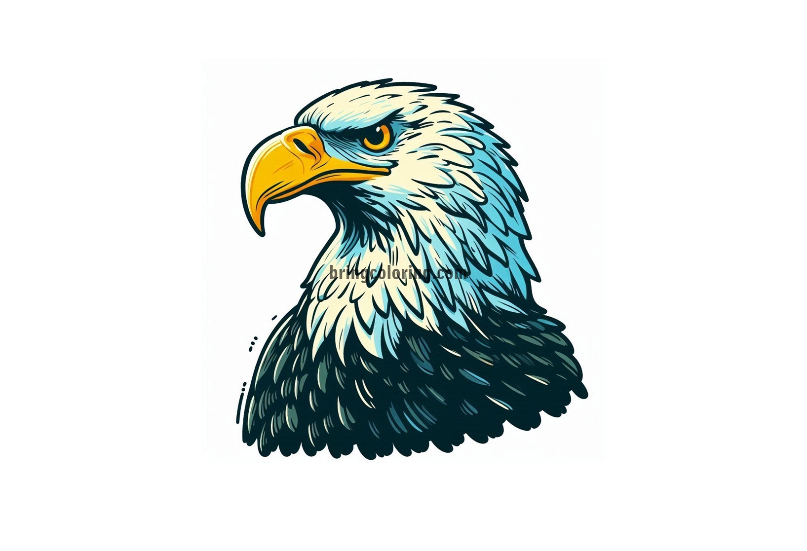 eagle Head Image Coloring