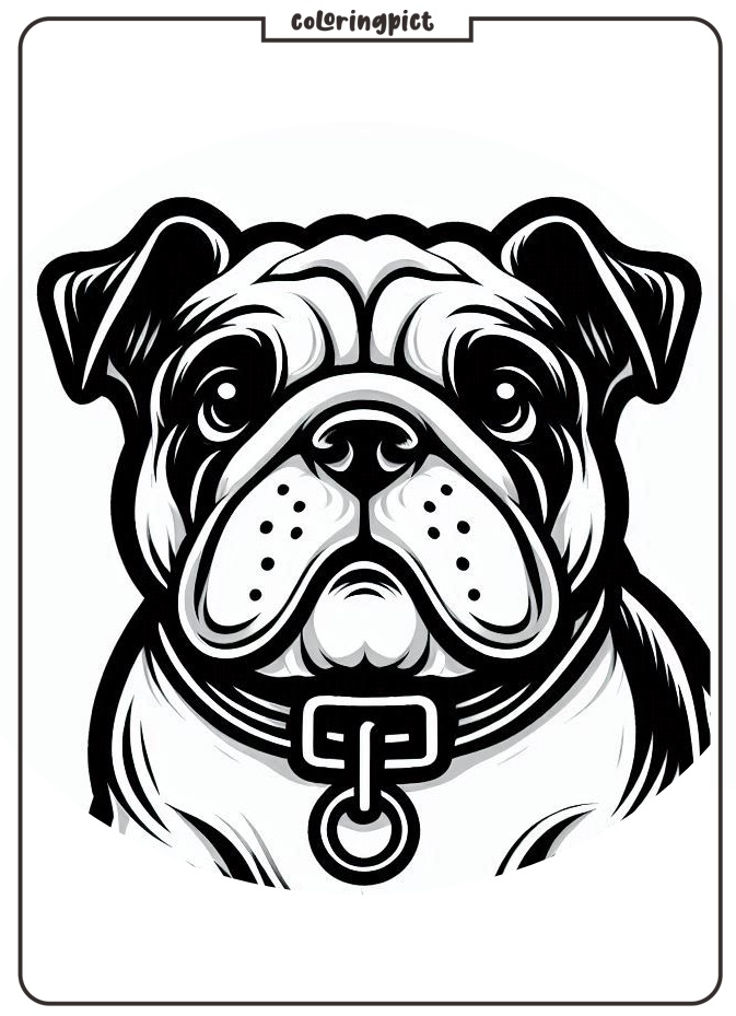 Bulldog Face Coloring Pages for Kids 3 happy bulldog coloring page for kids