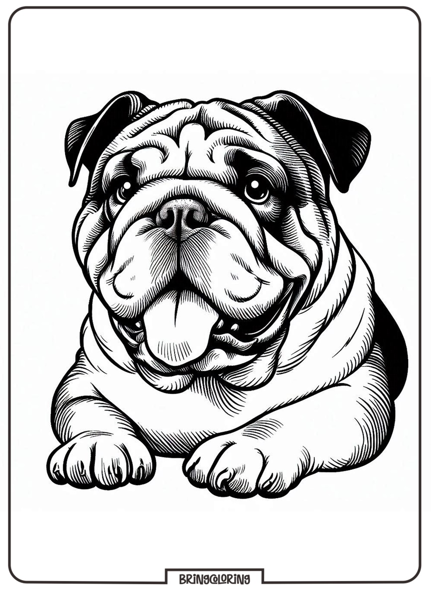 Bulldog Face Coloring Pages for Kids 4 happy bulldog coloring pages for kids