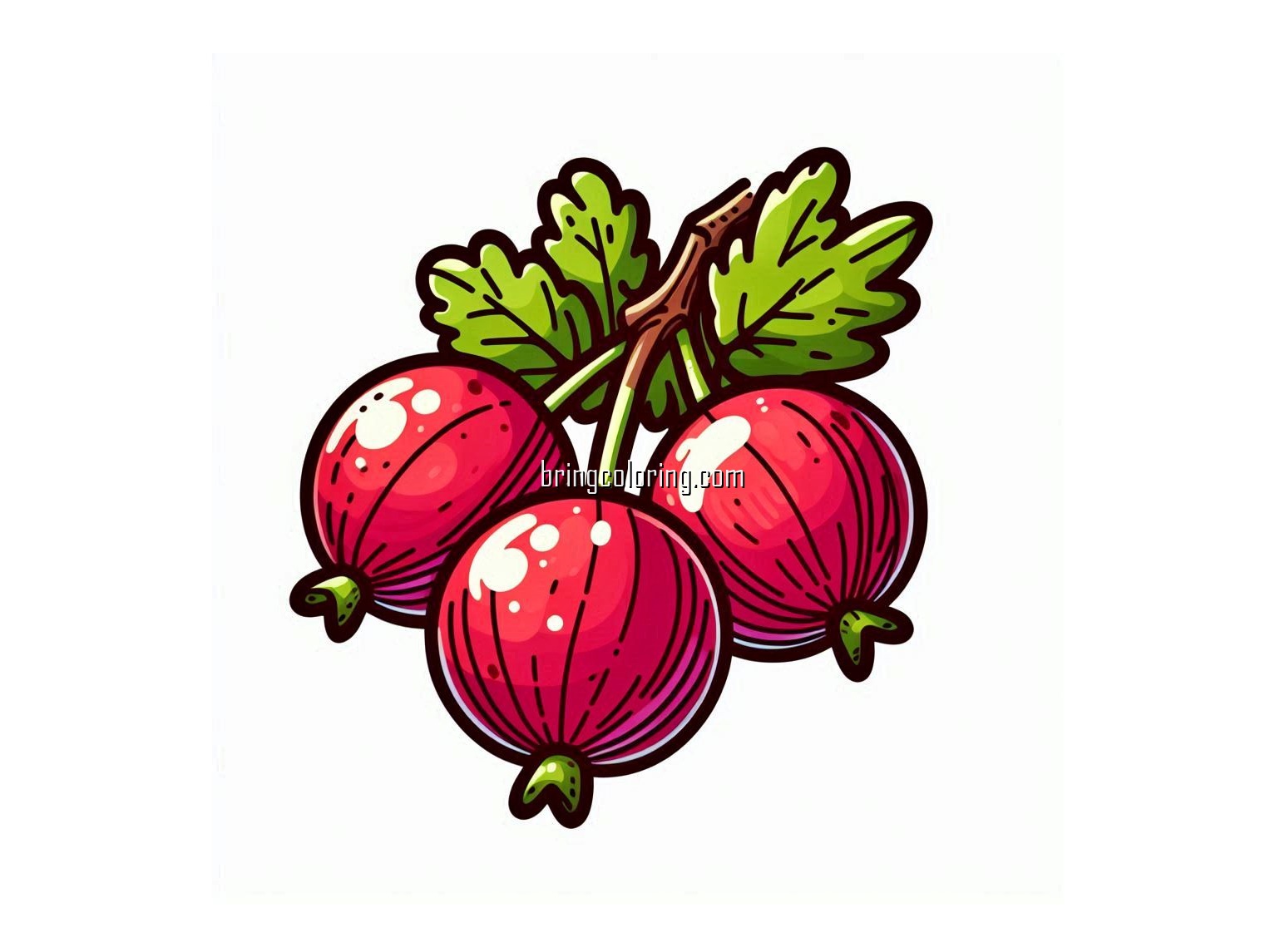 Gooseberry Coloring Pages 4 image is gooseberry coloring