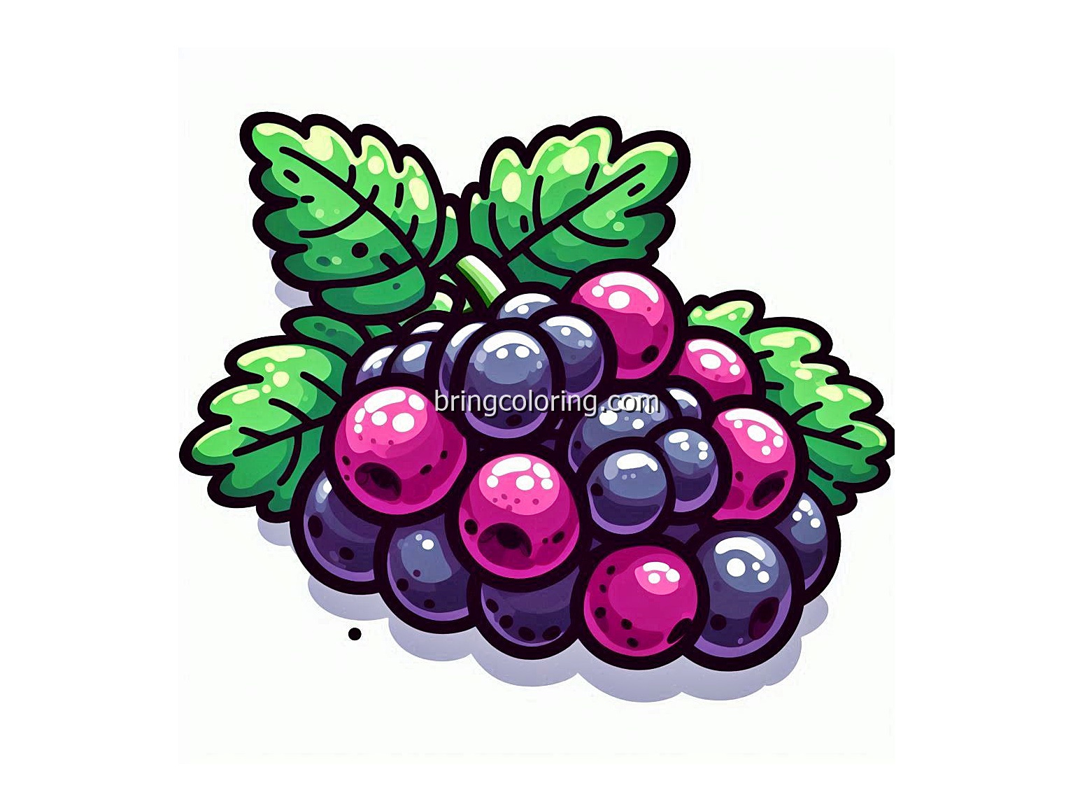 image is marionberry fruit coloring
