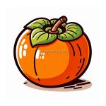 image is persimmon coloring
