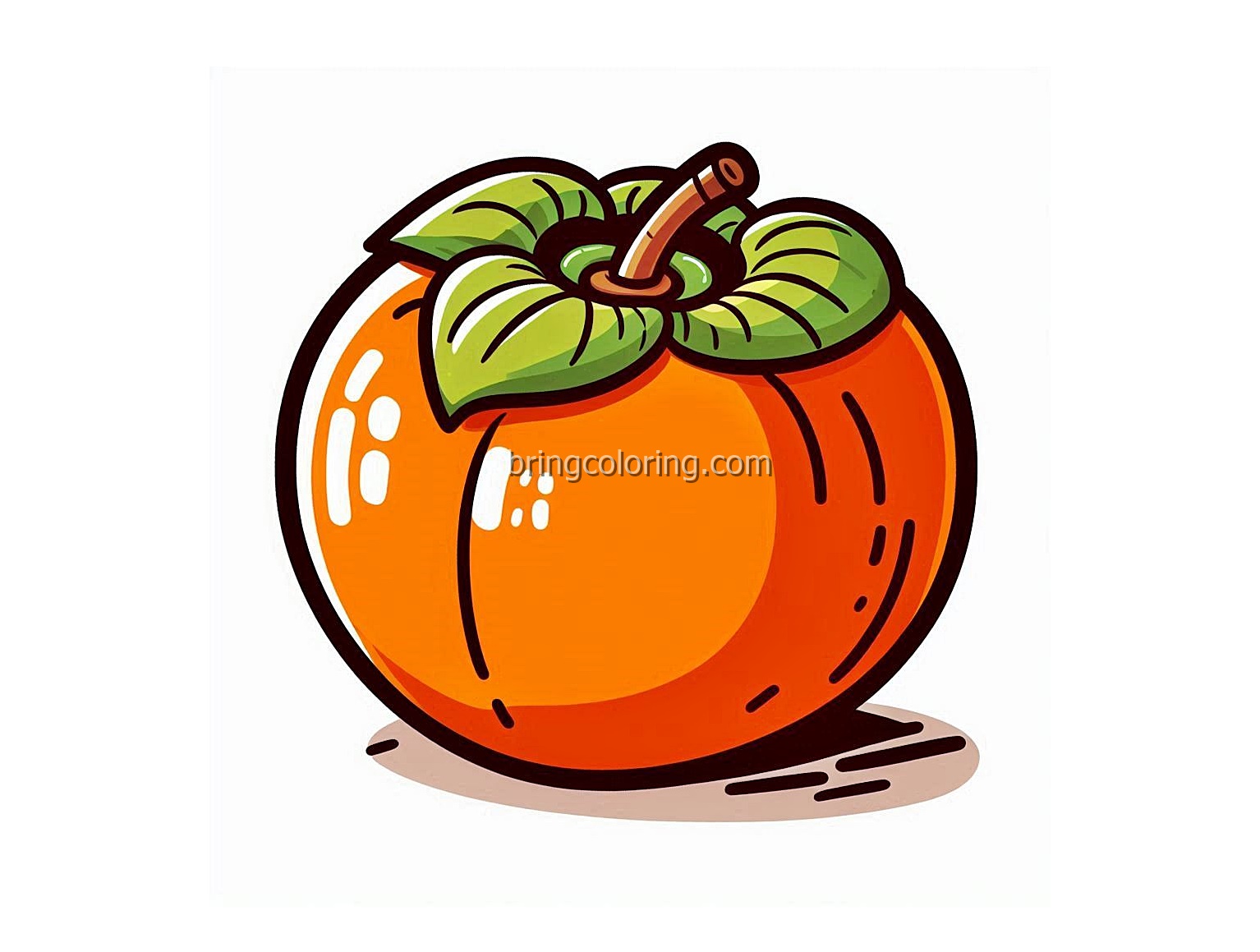 image is persimmon coloring