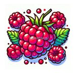 image is raspberry fruit coloring