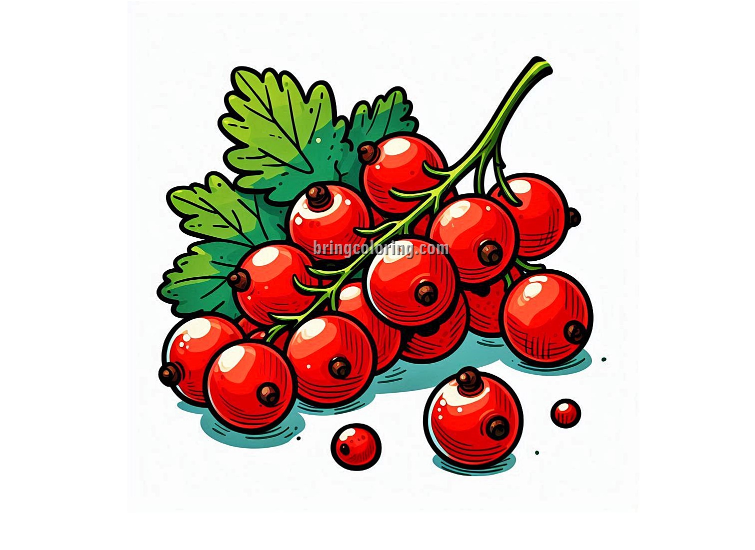 Red Currant Fruit Coloring Pages 4 image is redcurrant fruit coloring