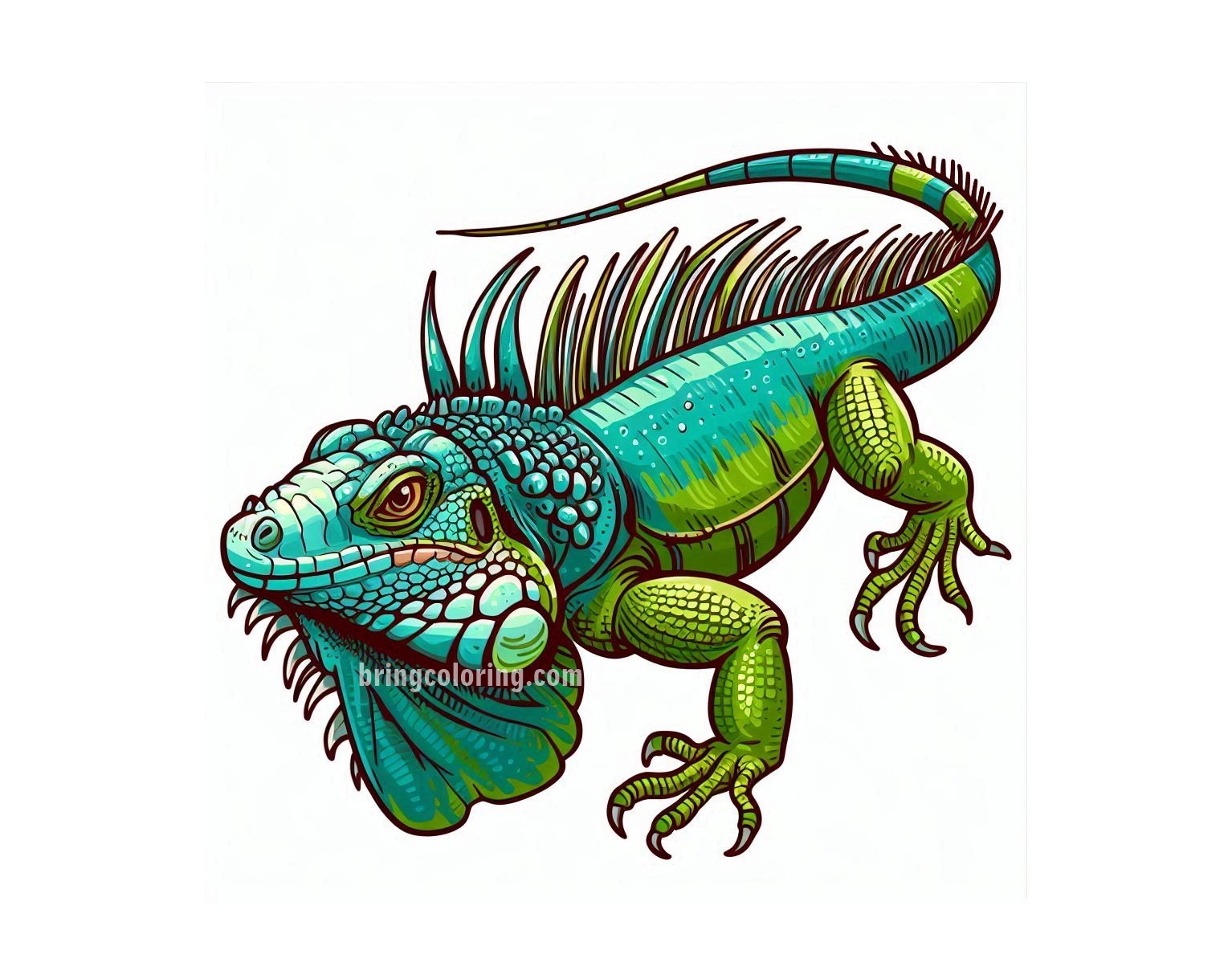 image of Iguana Coloring